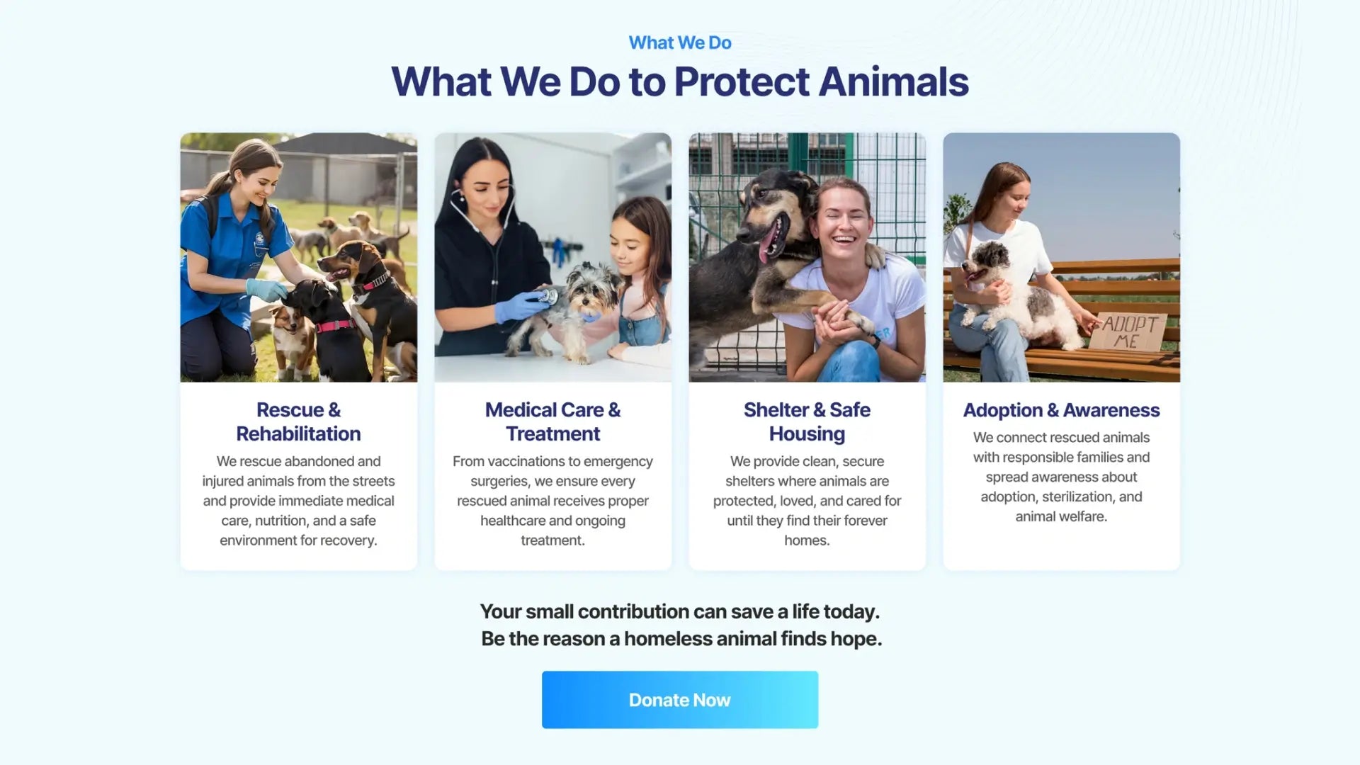 Animal Rescue & Shelter Support Funnel - What We Do