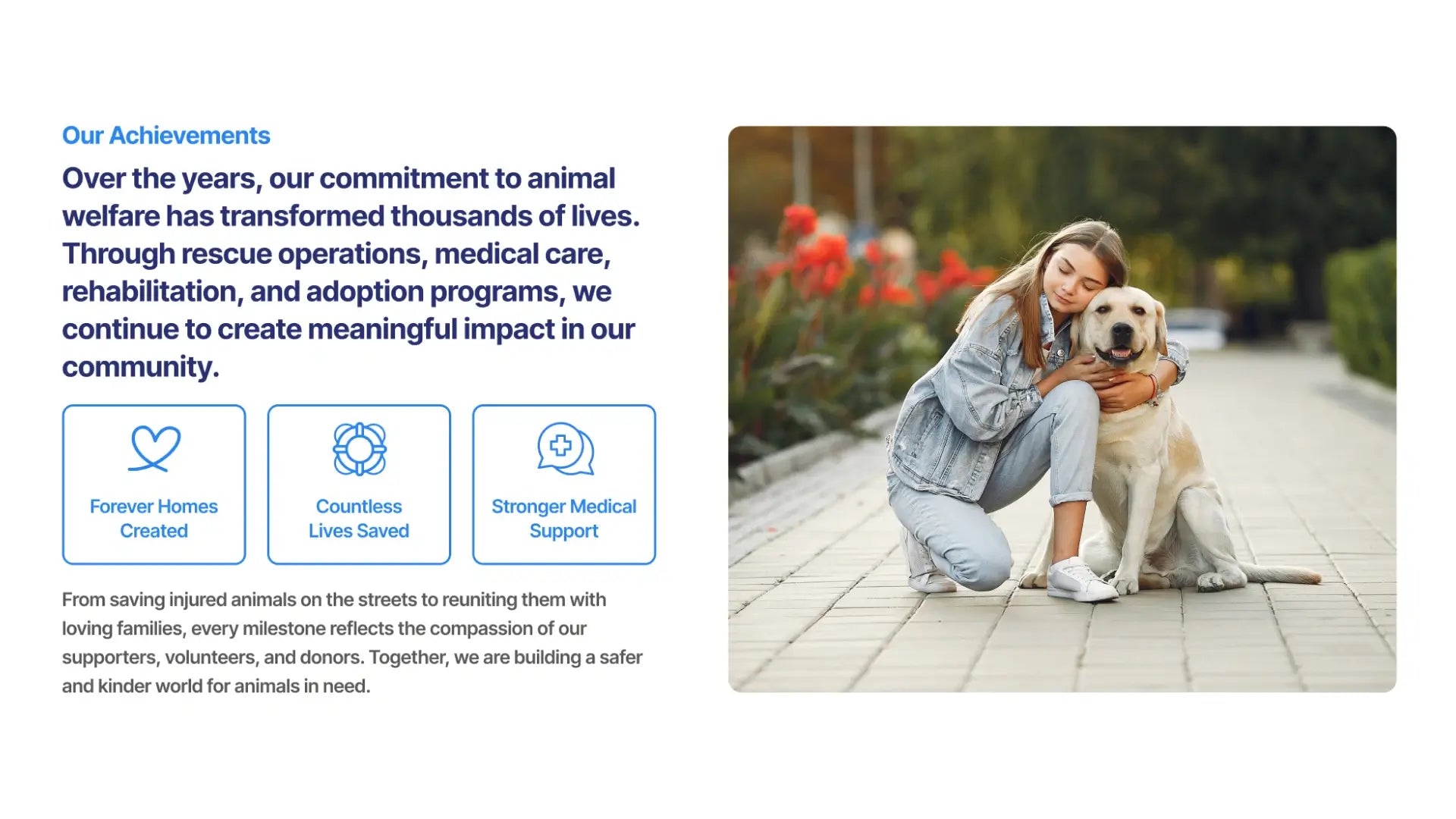 Animal Rescue & Shelter Support Funnel - Our Achievement