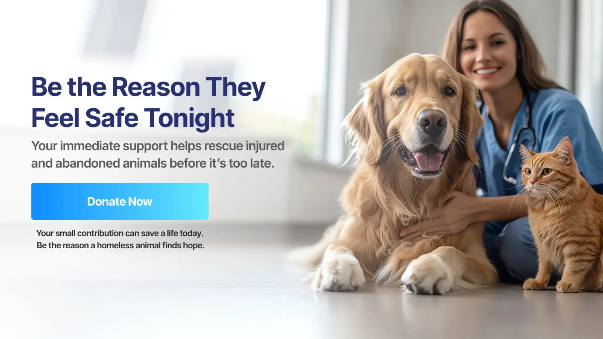 Animal Rescue & Shelter Support Funnel - Be The Reason