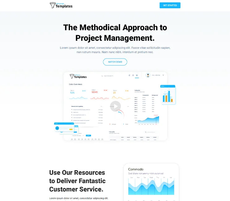 Strategic Management: Project Management Template Triumph