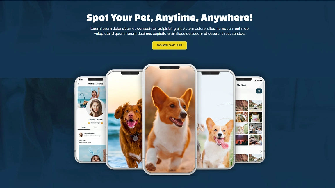 sales-funnel-for-pet-care-subscription-offer-optin-2-page